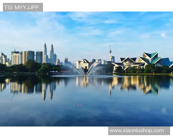 拉波尔特：探索科技与艺术交融的新视野与未来发展潜力